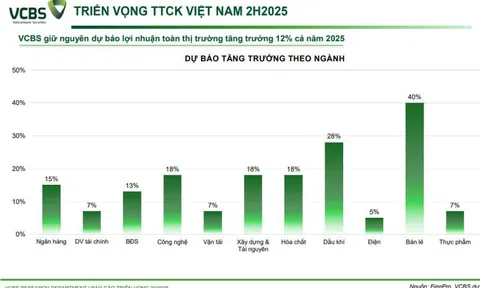 Nhìn lại dự báo VN-Index 2025: VCBS nổi bật với kịch bản sát thực tế