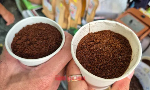 Giá cà phê hôm nay 26-8: Sụt giảm, kho hàng cạn kiệt