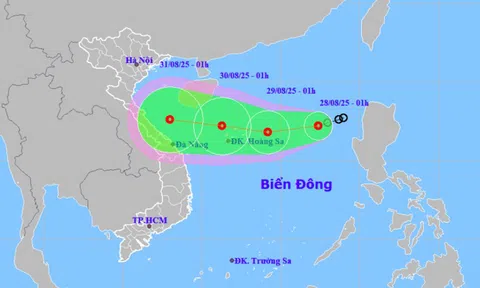 Tin mới về áp thấp nhiệt đới trên Biển Đông