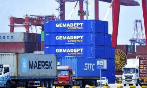 Nhân viên xuất sắc của Gemadept sắp được mua cổ phiếu giá rẻ