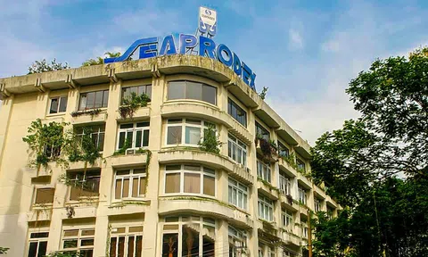 Biến động lớn tại Seaprodex