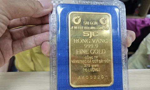 Giá vàng miếng SJC tiếp tục lập đỉnh mới trong sáng 28-8