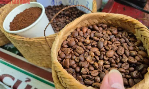 Giá cà phê hôm nay 29-8: Mạch tăng giá bị cắt, Mỹ trồng cà phê