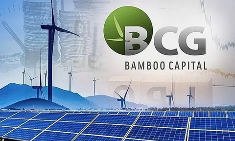 Cổ phiếu “họ” Bamboo Capital tăng bứt phá, đồng loạt hút mạnh dòng tiền từ nhà đầu tư