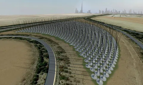 “Rừng turbine” tái định hình bức tranh điện gió