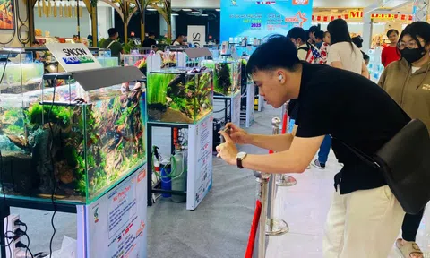 Lần đầu chiêm ngưỡng "ngón nghề" thủy sinh của các cao thủ thế giới
