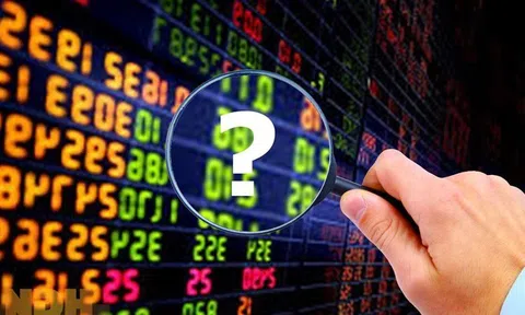 CTCK gọi tên loạt cơ hội đầu tư hấp dẫn trong giai đoạn cuối năm