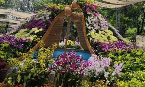 Ngành hoa Đà Lạt "sốc" vì bão hủy đơn hàng trước ngày khai giảng