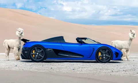 Siêu xe Koenigsegg Agera HH 'khoe dáng' cùng lạc đà Alpaca