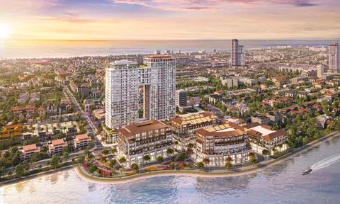Đầu tư Cù Lao Chàm thoát khó, báo lãi 11,4 tỷ đồng nửa đầu 2025