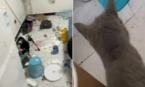 Cặp đôi thuê trọ rời đi, chủ nhà phát hoảng khi mở cửa căn hộ