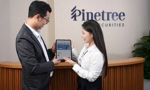 Pinetree: Số hoá toàn diện đón đầu xu thế phát triển của thị trường tài chính