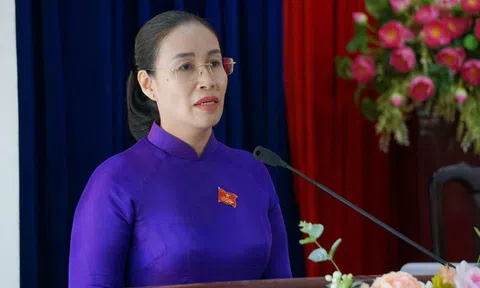 Phó Chủ tịch UBND TP Đà Nẵng bức xúc vì sở, ngành vắng mặt tại buổi tiếp xúc cử tri