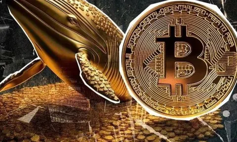 Bitcoin (BTC) là gì? Tất cả những điều cơ bản nhà đầu tư cần biết