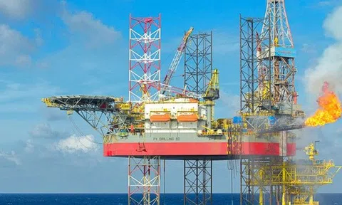PV Drilling sắp chi gần 278 tỷ đồng trả cổ tức năm 2024