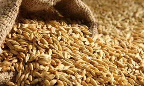 Đường Man của đại gia Đường ‘bia’ báo nợ phải trả gấp 174 lần vốn chủ sở hữu