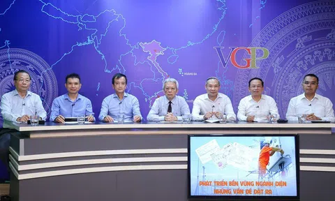 Phó Tổng giám đốc EVN: "Chúng tôi không phải là đơn vị bán lẻ điện duy nhất"