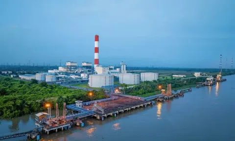 EVNGENCO3 tham gia gói thầu EPC Dự án chuyển đổi nhiên liệu NMNĐ Ô Môn 1