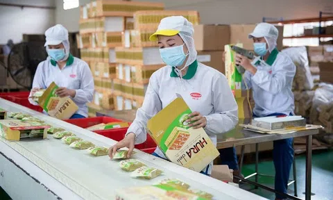 Nhìn lại hành trình gần 25 năm trên sàn chứng khoán của Bibica