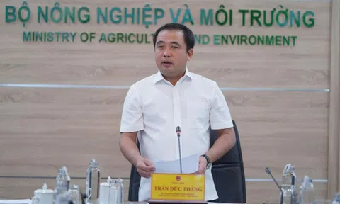 Xuất khẩu gạo của Việt Nam không bị ảnh hưởng