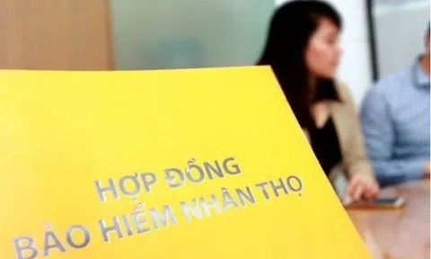 Lợi nhuận bảo hiểm nhân thọ lao dốc trong nửa đầu năm 2025