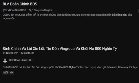 65 kênh mạng xã hội gỡ bỏ nội dung sau khi Vingroup công bố khởi kiện