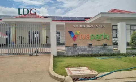 Cổ phiếu công ty LDG bị giữ nguyên diện kiểm soát