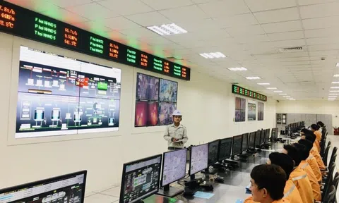 'Vua thép' Hòa Phát sắp đi bán điện?