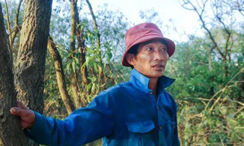'Gã khùng' ở Ninh Bình hơn thập kỷ làm ‘cha nuôi’ của đàn cò trắng trên sông