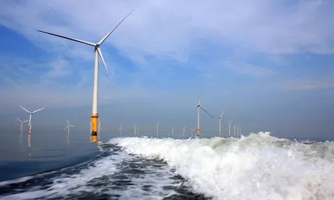 Điện gió ngoài khơi không tìm thấy tương lai ở cường quốc kinh tế số 1 thế giới