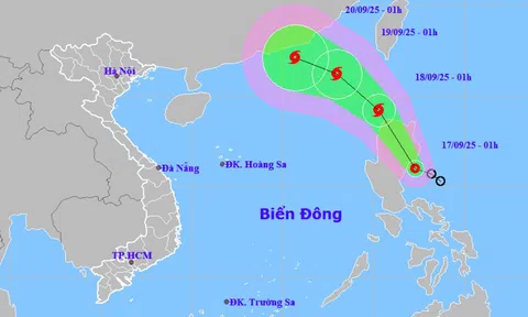 Áp thấp nhiệt đới sắp mạnh thành bão, có đổ bộ vào nước ta?