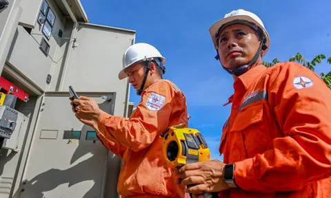 Thị trường điện đang vận hành thế nào