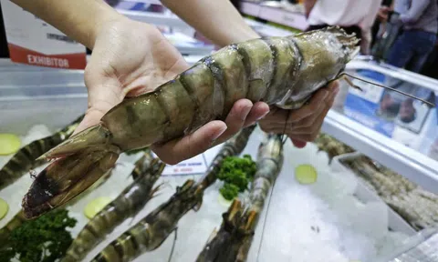 Trung Quốc ồ ạt mua tôm Việt, lần đầu soán vị trí nhập khẩu số 1 từ Mỹ