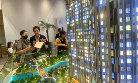 Thị trường căn hộ phục hồi, lượng giao dịch tăng đột biến