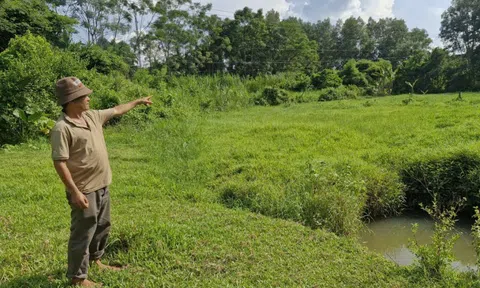 Nhà máy 500 tỉ ở Đà Nẵng "chết yểu", người dân bị vạ lây