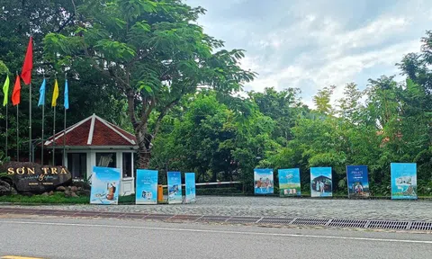 Một resort tại bán đảo Sơn Trà bị xử phạt vì không có giấy phép môi trường