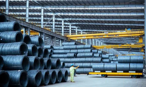 SSI Research: Bức tranh lợi nhuận quý III/2025 sáng màu, ngân hàng và thép dẫn đầu