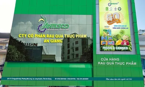 Doanh nghiệp 50 tuổi Antesco trước ngưỡng cửa HoSE