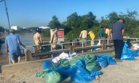 Chủ tịch TP Hải Phòng chỉ đạo triển khai các biện pháp ứng phó với bão số 11 và nguy cơ dông lốc