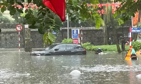 Bảo hiểm phải đền bù gần 40 tỷ đồng thiệt hại xe cơ giới do bão Bualoi