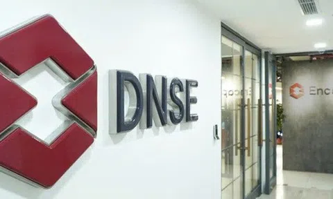 Chứng khoán DNSE sắp chào bán 1.000 tỷ đồng trái phiếu