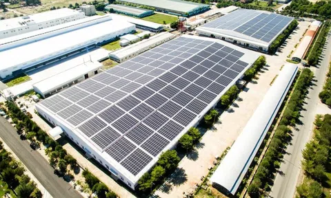 Bamboo Capital và Tracodi xin lỗi cổ đông khi cổ phiếu bị đình chỉ