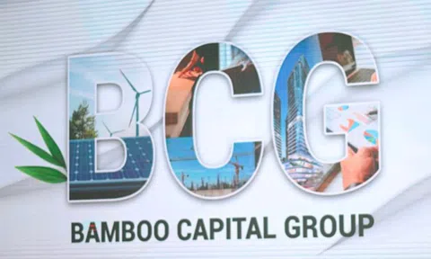 Bamboo Capital giải trình việc cổ phiếu bị đình chỉ giao dịch