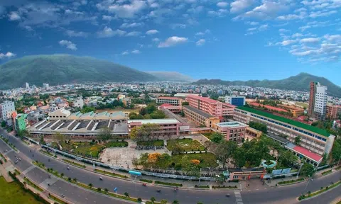 Khu đất hơn 3 ha mặt biển Quy Nhơn sắp được đấu giá khởi điểm gần 1.200 tỷ đồng