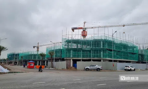 Doanh nghiệp bất động sản của "đại gia" Đỗ Hữu Hạ sắp chào sàn HoSE