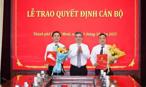 Ông Trần Thế Thông và ông Đinh Xuân Hải được bổ nhiệm làm Thư ký Bí thư Thành ủy TP HCM