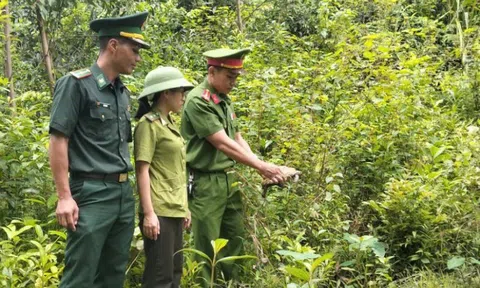 Người dân vùng biển bất ngờ bắt được rùa quý hiếm nằm trong Sách đỏ