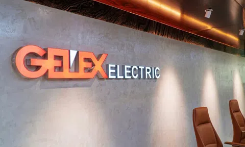 Điện lực Gelex lãi đột biến, giá cổ phiếu tăng gấp 5 lần từ đầu năm