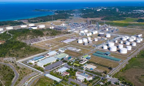 Quảng Ngãi: 389 doanh nghiệp nợ thuế hơn 45,6 tỉ đồng