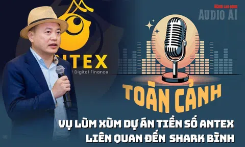 Cú sập của tiền số AntEx liên quan Shark Bình: Lý do tài sản bốc hơi 99%